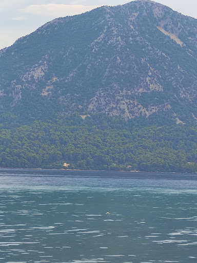 Zacharoplasteío "Galatis" · Φωτογραφίες 24